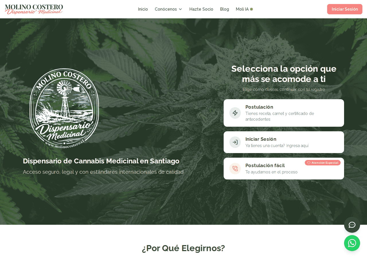 Screenshot of Molino Costero, HealthTech / Medical Cannabis